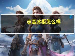 志高冰柜怎么样