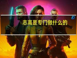 志高是专门做什么的