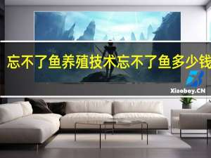忘不了鱼养殖技术 忘不了鱼多少钱一斤