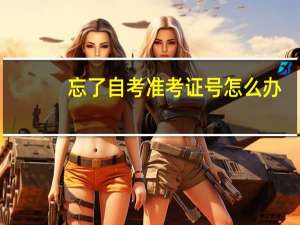 忘了自考准考证号怎么办