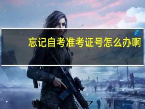 忘记自考准考证号怎么办啊