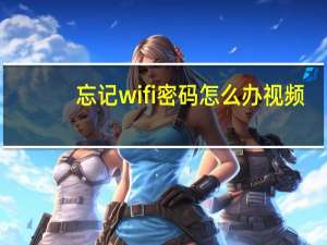 忘记wifi密码怎么办视频（忘记wifi密码怎么办）