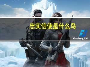 忠实信使是什么鸟