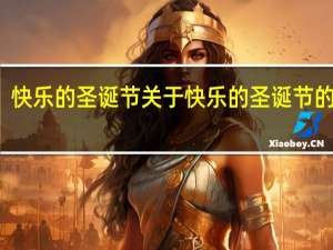 快乐的圣诞节 关于快乐的圣诞节的介绍