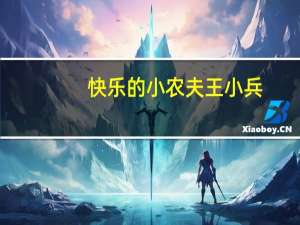 快乐的小农夫王小兵