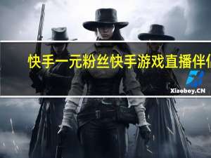 快手一元粉丝 快手游戏直播伴侣