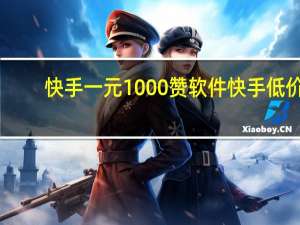 快手一元1000赞软件 快手低价(快手一元1千个赞平台)