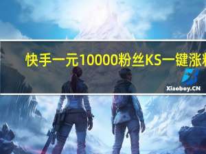 快手一元10000粉丝 KS一键涨粉(如何在快手上一元涨1000个粉丝)