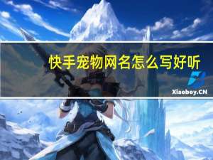快手宠物网名怎么写好听