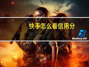 快手怎么看信用分