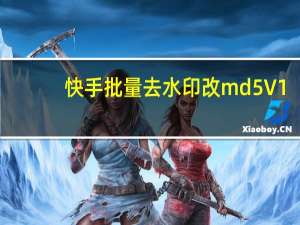 快手批量去水印改md5 V1.1 免费版（快手批量去水印改md5 V1.1 免费版功能简介）