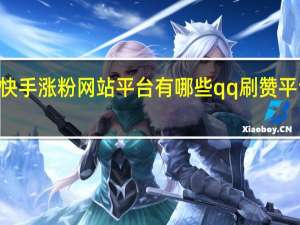 快手涨粉网站平台有哪些qq刷赞平台666