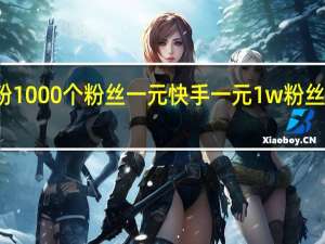快手涨粉1000个粉丝一元 快手一元1w粉丝不掉粉的原因