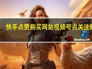 快手点赞购买网站 视频号点关注赚钱