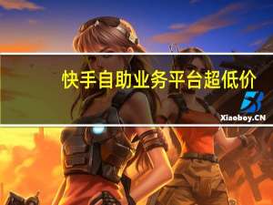 快手自助业务平台超低价 - 专业秒刷