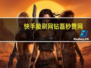 快手陵刷网 钻磊秒赞网