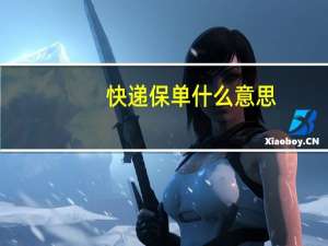 快递保单什么意思