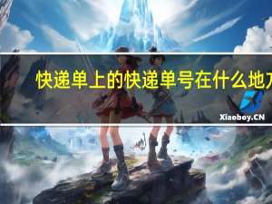 快递单上的快递单号在什么地方