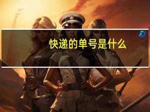 快递的单号是什么