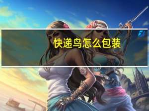 快递鸟怎么包装