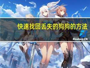 快速找回丢失的狗狗的方法