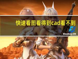 快速看图看得到cad看不到（cad快速看图能看到cad里看不到）