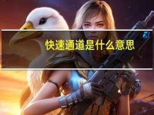 快速通道是什么意思