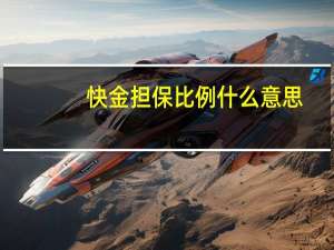 快金担保比例什么意思