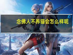 念佛人不养猫会怎么样呢