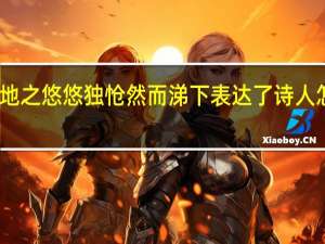 念天地之悠悠独怆然而涕下表达了诗人怎样的内心