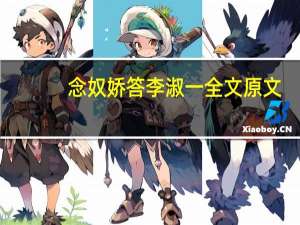 念奴娇答李淑一全文原文