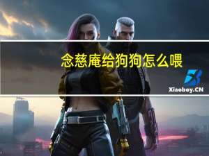 念慈庵给狗狗怎么喂