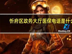 忻府区政务大厅医保电话是什么