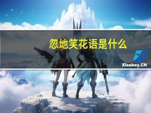 忽地笑花语是什么