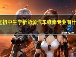 怀化初中生学新能源汽车维修专业有什么要求吗