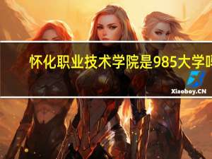 怀化职业技术学院是985大学吗