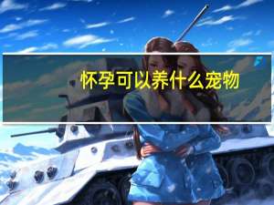 怀孕可以养什么宠物