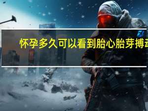 怀孕多久可以看到胎心胎芽搏动（怀孕多久可以看到胎心）