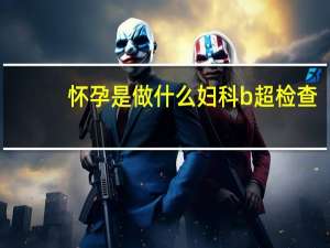 怀孕是做什么妇科b超检查