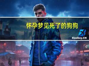 怀孕梦见死了的狗狗