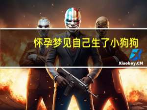 怀孕梦见自己生了小狗狗