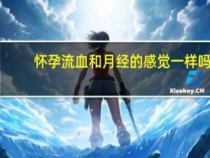 怀孕流血和月经的感觉一样吗（怀孕流血和月经的区别）
