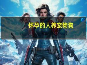 怀孕的人养宠物狗