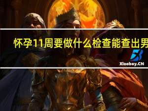 怀孕11周要做什么检查能查出男女（怀孕11周要做什么检查）