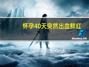 怀孕40天突然出血鲜红（怀孕40多天流鲜红的血怎么回事）