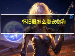 怀旧服怎么卖宠物狗