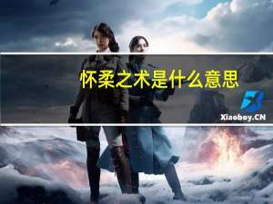 怀柔之术是什么意思