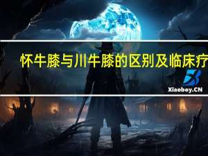 怀牛膝与川牛膝的区别及临床疗效（怀牛膝与川牛膝的区别）