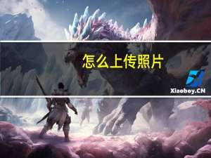 怎么上传照片（怎么上传照片）