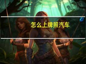 怎么上牌照汽车
